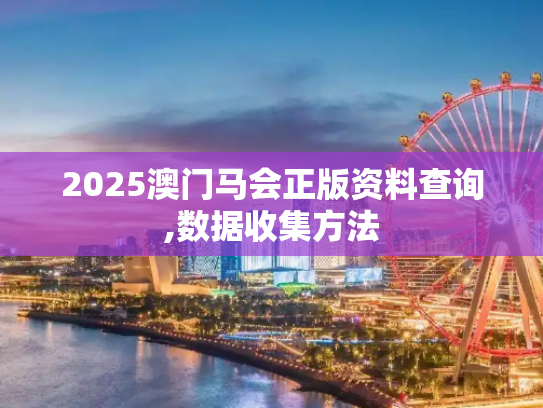 2025澳门马会正版资料查询,数据收集方法
