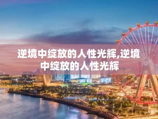 逆境中绽放的人性光辉,逆境中绽放的人性光辉
