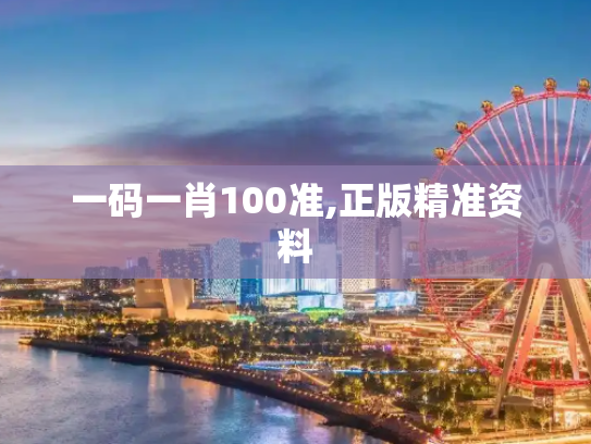 一码一肖100准,正版精准资料
