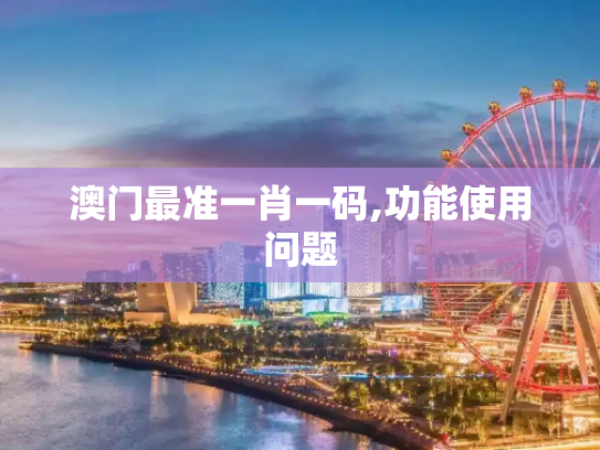 澳门最准一肖一码,功能使用问题