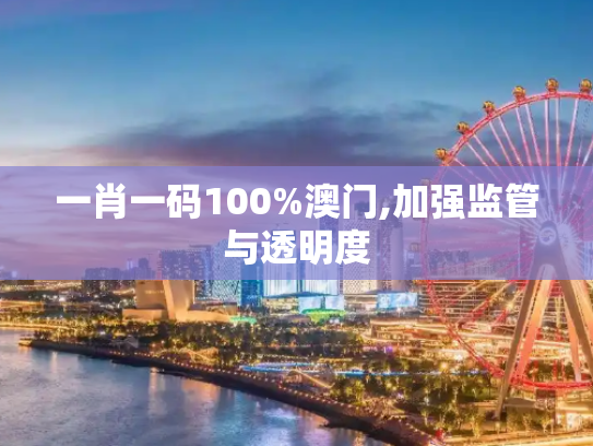 一肖一码100%澳门,加强监管与透明度