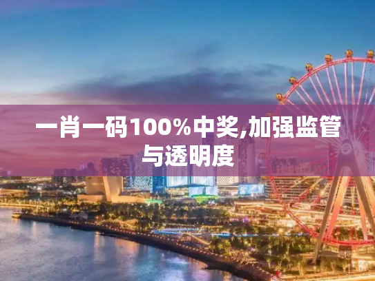 一肖一码100%中奖,加强监管与透明度