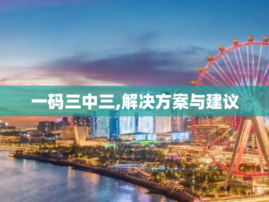 一码三中三,解决方案与建议