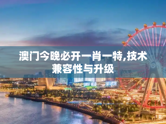 澳门今晚必开一肖一特,技术兼容性与升级