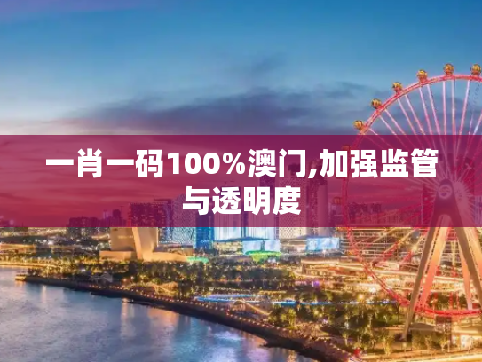 一肖一码100%澳门,加强监管与透明度