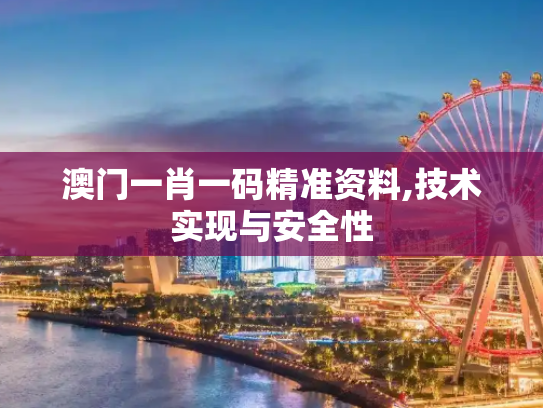 澳门一肖一码精准资料,技术实现与安全性