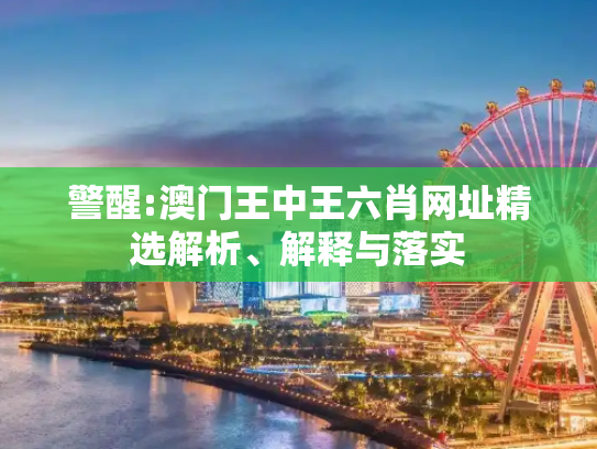 警醒:澳门王中王六肖网址精选解析、解释与落实