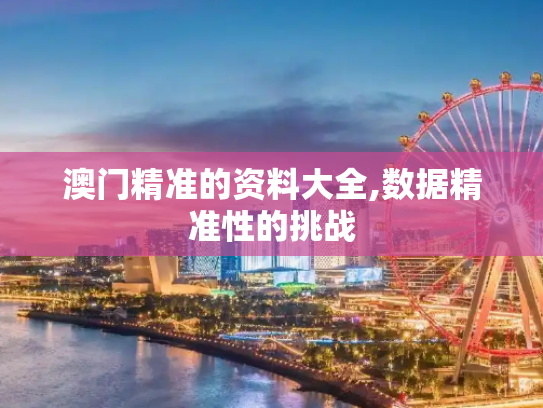 澳门精准的资料大全,数据精准性的挑战