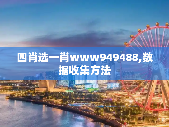 四肖选一肖www949488,数据收集方法