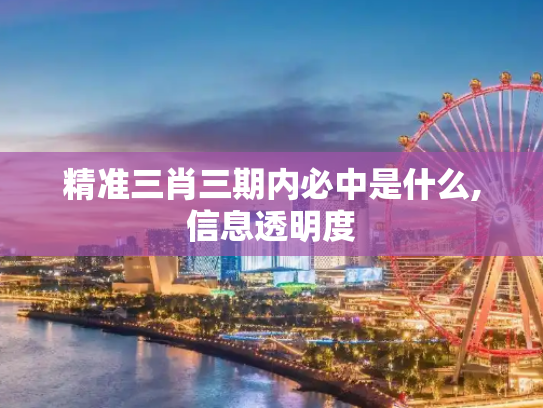 精准三肖三期内必中是什么,信息透明度