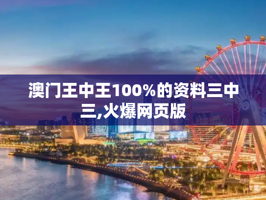 澳门王中王100%的资料三中三,火爆网页版