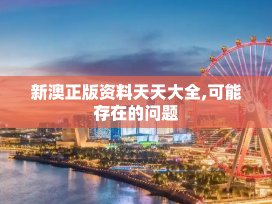 新澳正版资料天天大全,可能存在的问题
