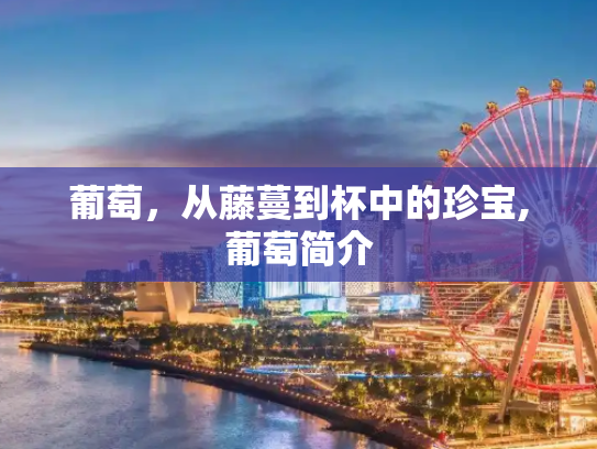 葡萄，从藤蔓到杯中的珍宝,葡萄简介