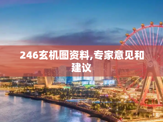 246玄机图资料,专家意见和建议