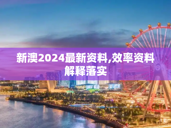 新澳2024最新资料,效率资料解释落实