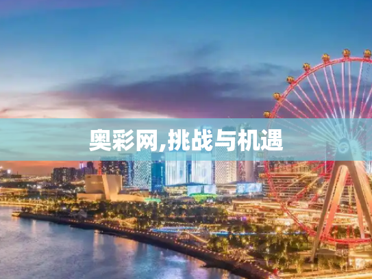 奥彩网,挑战与机遇