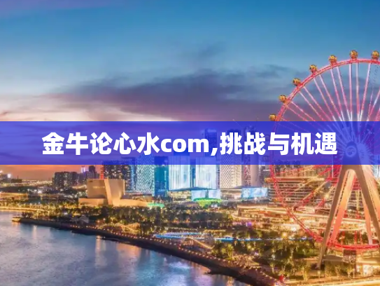 金牛论心水com,挑战与机遇