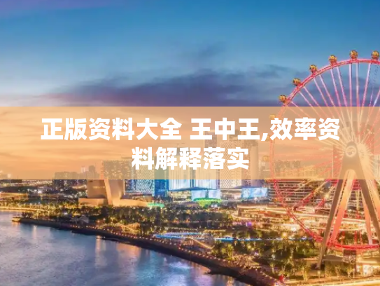 正版资料大全 王中王,效率资料解释落实