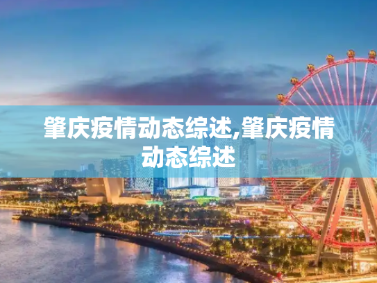 肇庆疫情动态综述,肇庆疫情动态综述