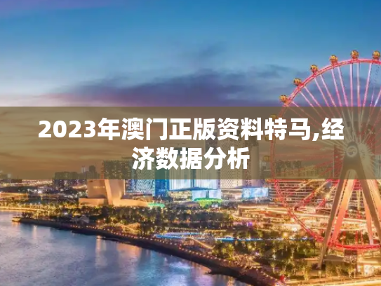 2023年澳门正版资料特马,经济数据分析