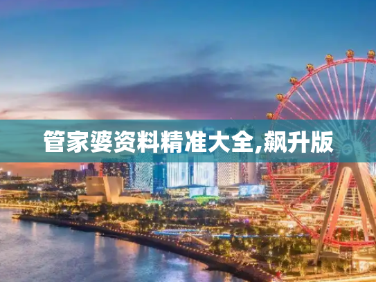 管家婆资料精准大全,飙升版