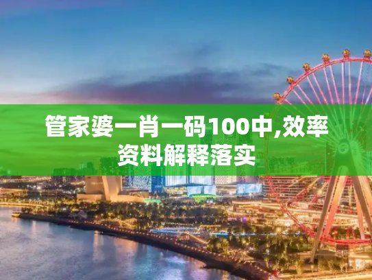 管家婆一肖一码100中,效率资料解释落实