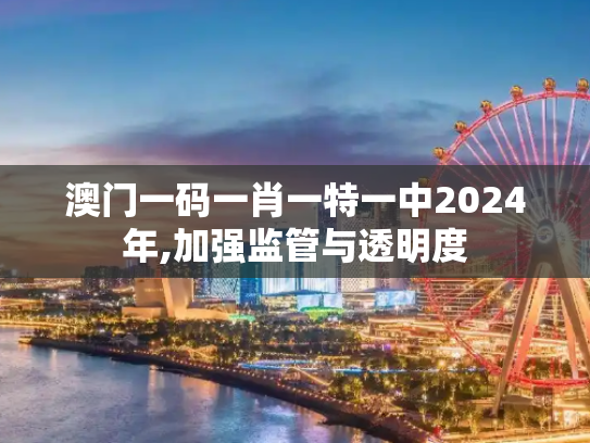 澳门一码一肖一特一中2024年,加强监管与透明度