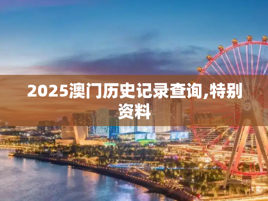 2025澳门历史记录查询,特别资料