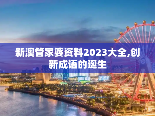 新澳管家婆资料2023大全,创新成语的诞生