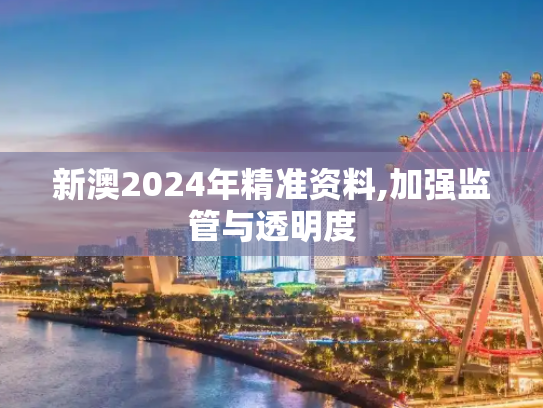 新澳2024年精准资料,加强监管与透明度