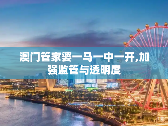 澳门管家婆一马一中一开,加强监管与透明度