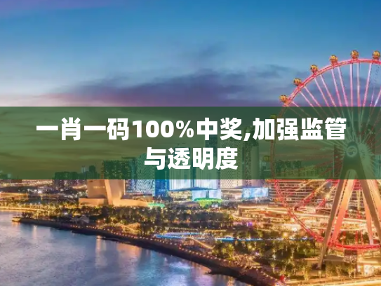 一肖一码100%中奖,加强监管与透明度