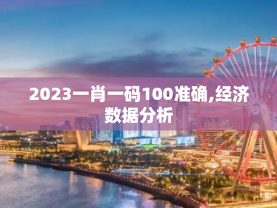 2023一肖一码100准确,经济数据分析