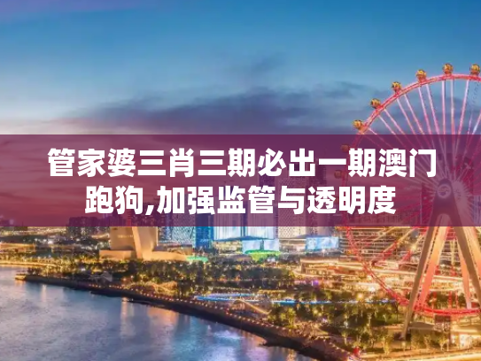 管家婆三肖三期必出一期澳门跑狗,加强监管与透明度