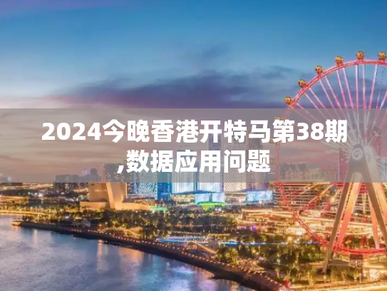 2024今晚香港开特马第38期,数据应用问题