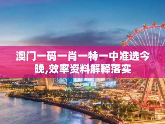 澳门一码一肖一特一中准选今晚,效率资料解释落实