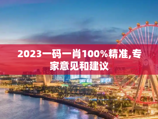 2023一码一肖100%精准,专家意见和建议