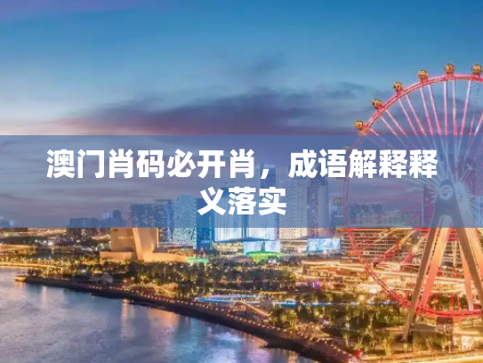 澳门肖码必开肖，成语解释释义落实