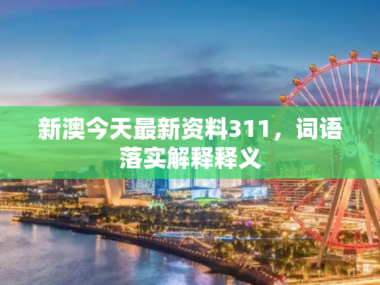 新澳今天最新资料311，词语落实解释释义