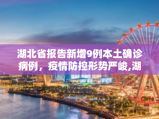 湖北省报告新增9例本土确诊病例，疫情防控形势严峻,湖北新增本土确诊病例9例