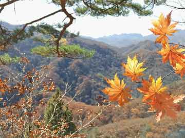 江西疫情新动态，新增本土确诊病例2例,江西新增本土确诊病例2例